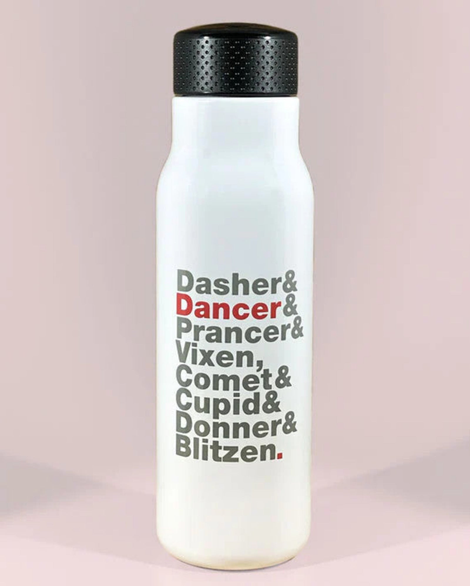 REINDEER NAMES STAINLESS STEEL BOTTLE
