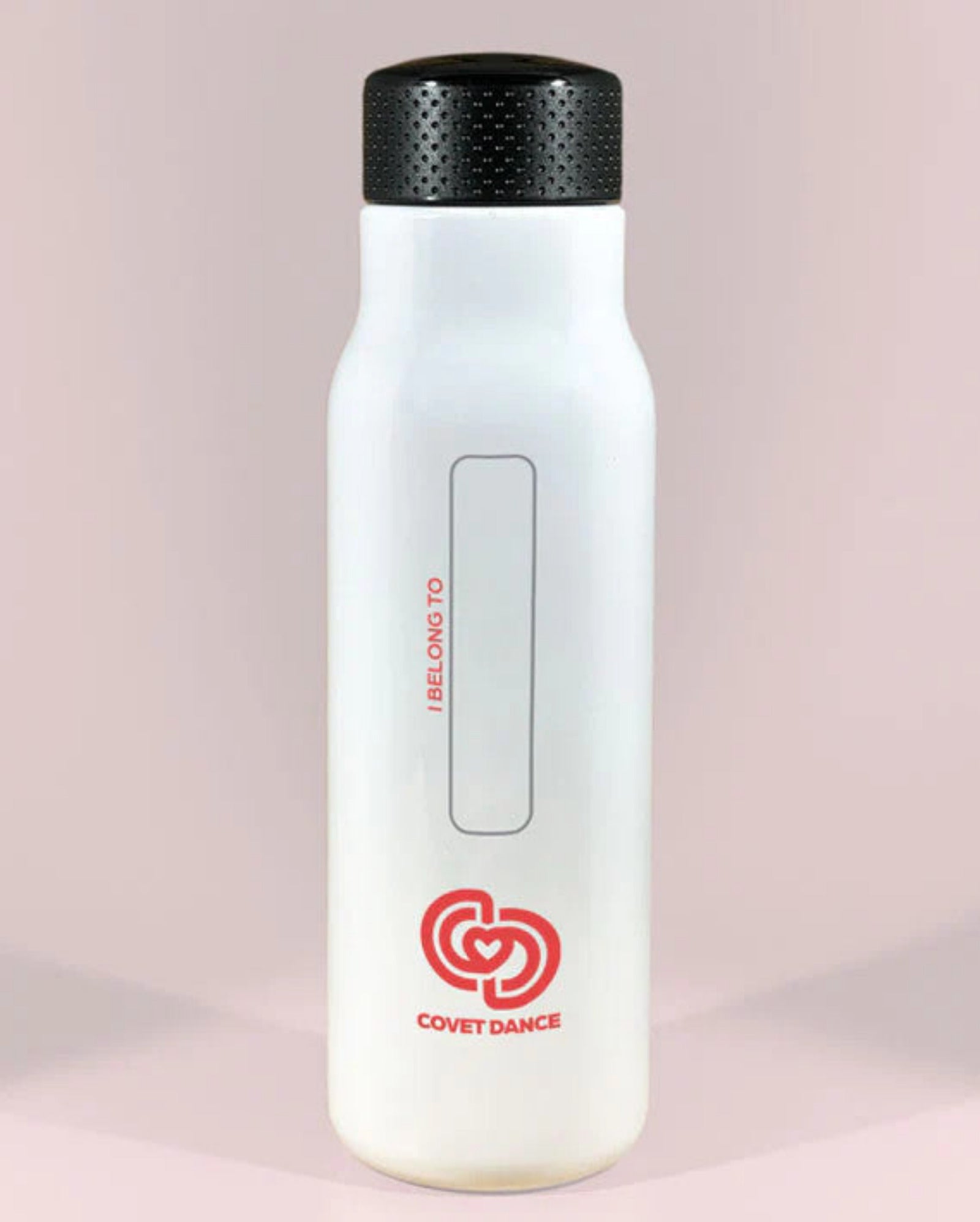 REINDEER NAMES STAINLESS STEEL BOTTLE