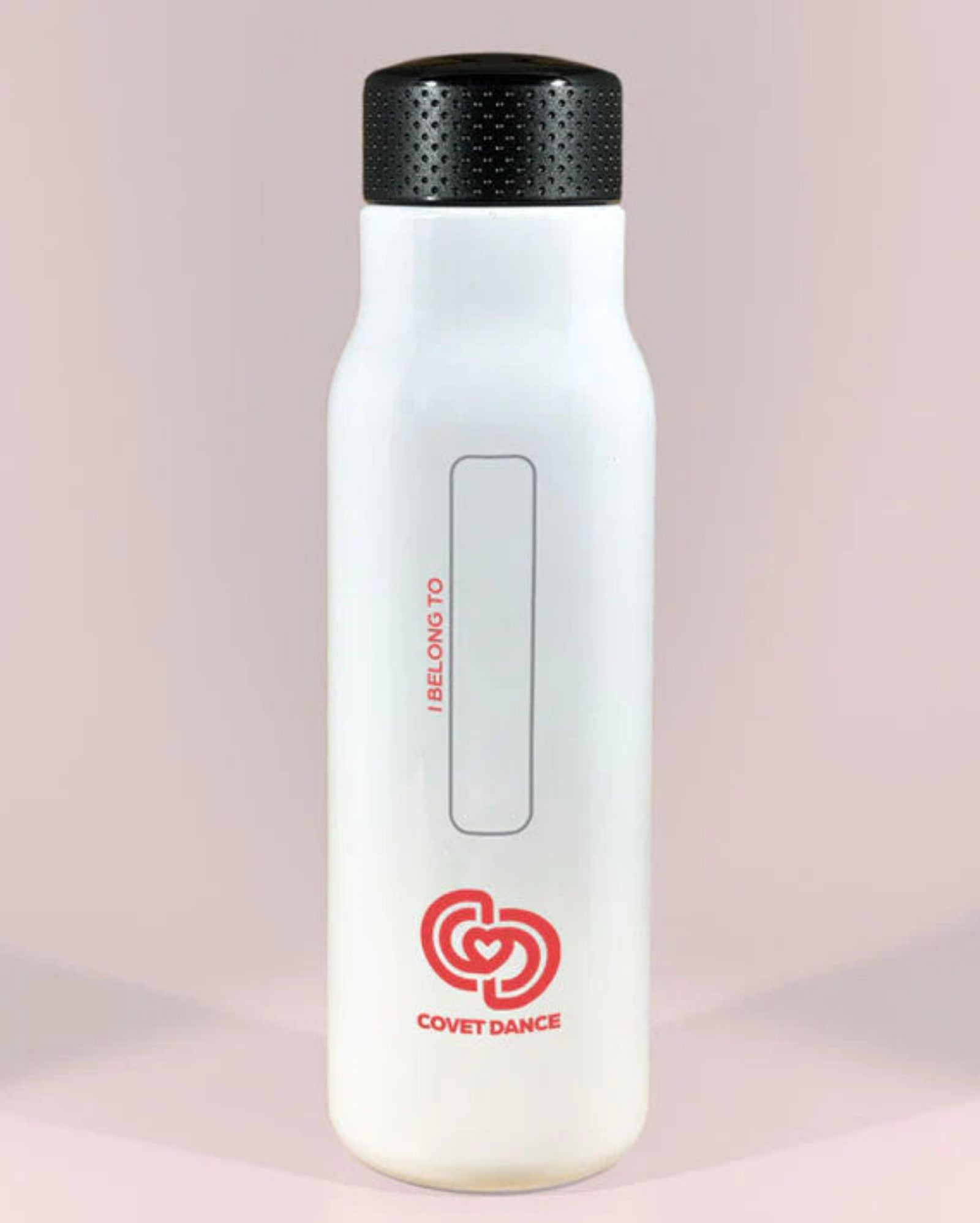 REINDEER NAMES STAINLESS STEEL BOTTLE