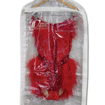 Red dress with feathers in a clear plastic bag on a hanger, branded 'Dream Duffel'.