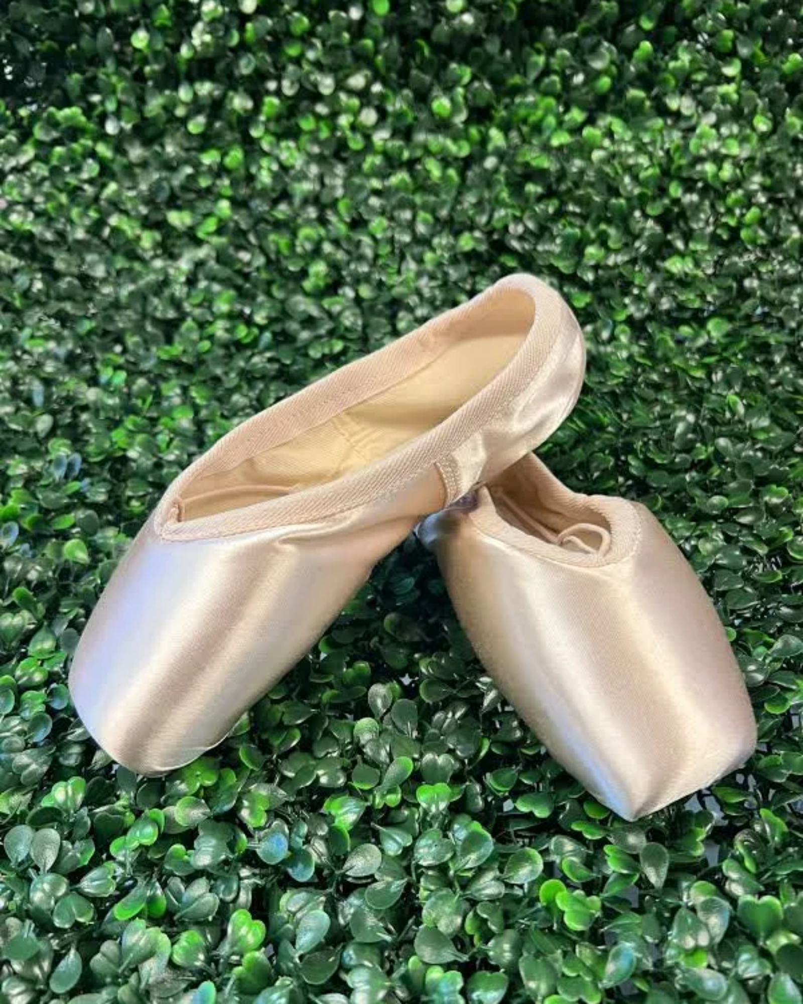 A pair of satin pointe shoes in a light champagne beige color, displayed on a textured green leaf wall background.